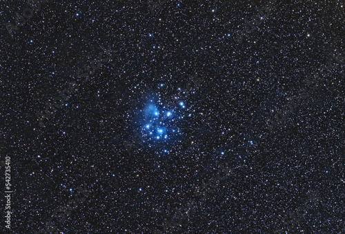 Wide field of the Pleiades, also known as The Seven Sisters and Messier 45, are an open star cluster containing the stars Sterope, Merope, Electra, Maia, Taygetas, Celaeno and Alcyone.  photo