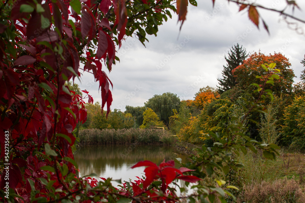 Autumn landscape in a city park, autumn in Moldova.