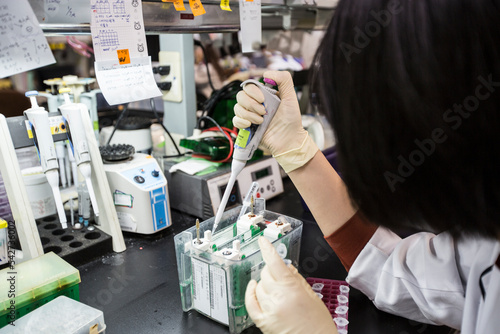 Western blot analysis or protein analysis photo