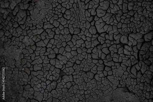 Fototapet Gray dried and cracked ground earth background, Close up of dry fissure ground, fracture surface, black cracked texture, for designers