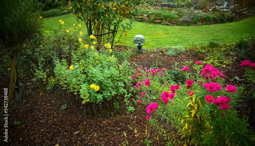 Gartenanlage im Oktober mit Winterastern photo