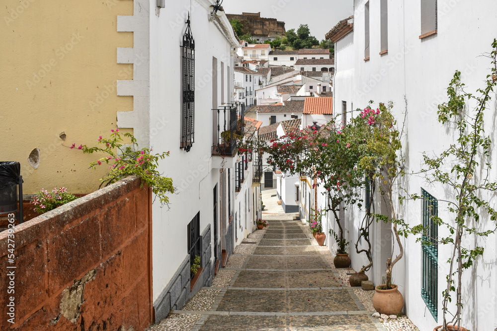 Fototapeta premium narrow street in the old town of island