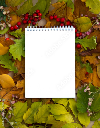 Notebook with leaves. White card with space for text on the background of fallen autumn yellow, brown, green leaves, top view, copy space