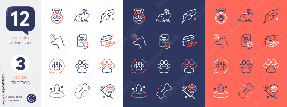 Set of Dog competition, Dog vaccination and Feather line icons. Include Veterinary clinic, Pets care, Pet friendly icons. Lightweight, Water bowl, Animal tested web elements. Winner medal. Vector Set of Dog competition, Dog vaccination and Feather line icons. Include Veterinary clinic, Pets care, Pet friendly icons. Lightweight, Water bowl, Animal tested web elements. Winner medal. Vector