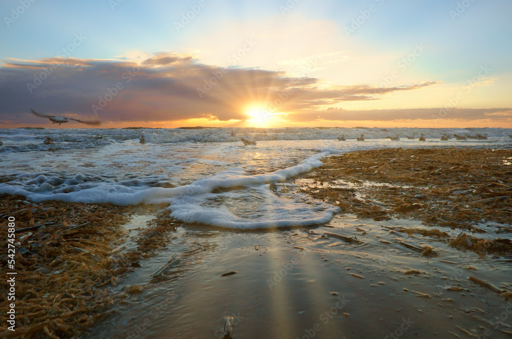 custom made wallpaper toronto digitalSunset on the beach in Denmark. Waves rolling over the sand. Walk on the coast