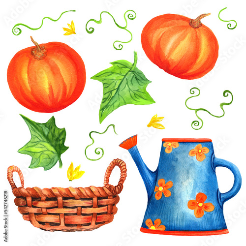 Watercolor set with vegetables. Transparent layer.