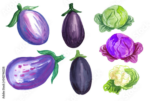 Watercolor set with vegetables. Transparent layer.