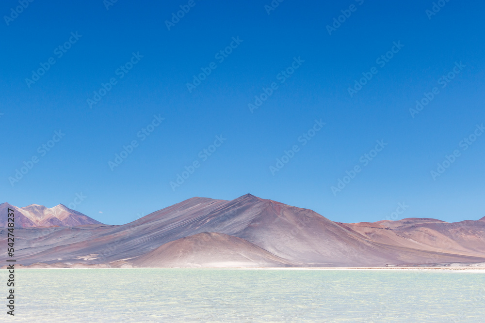 Fototapeta premium Chile altiplano Miscanti lagoon and Minique volcano near San Pedro de Atacama, Antofagasta, Chili, South America
