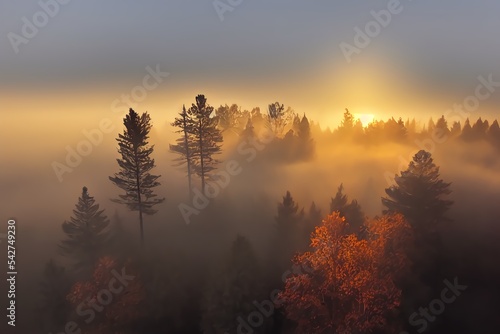 early morning sunrise foggy forrest  treetips standing out of fog autumn fall foggy fall sunrise drone shot