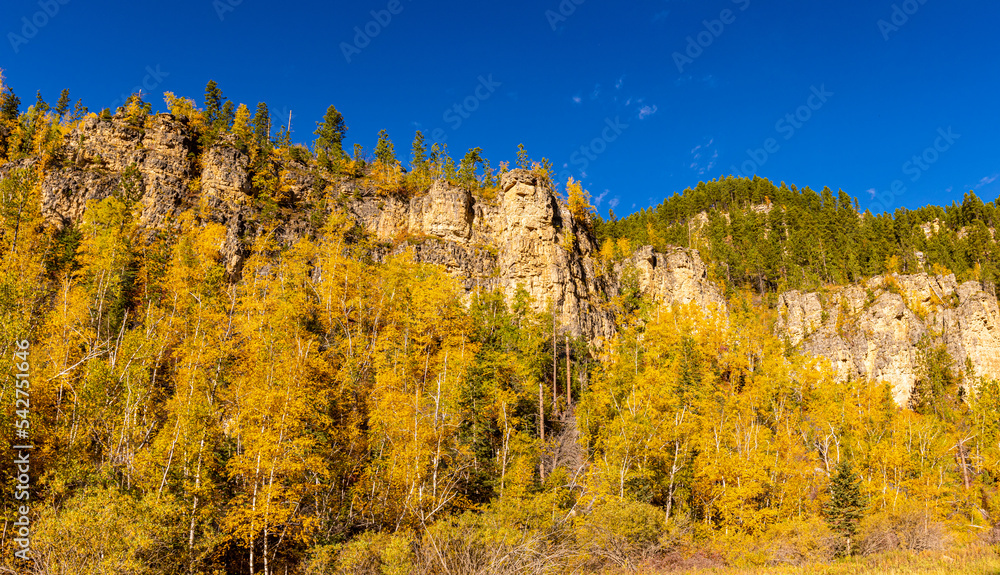 Fall Color in Spearfish Canyon, Spearfish Canyon State Natural Area, South Dakota, USA Fall Color in Spearfish Canyon, Spearfish Canyon State Natural Area, South Dakota, USA