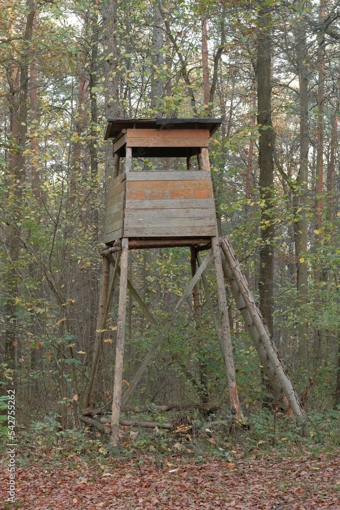 Timber construction perch in the German forest is used for the hunt. Timber construction perch in the German forest is used for the hunt.