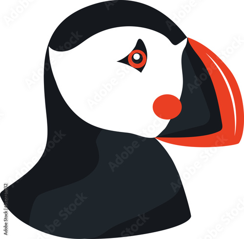 puffin bird