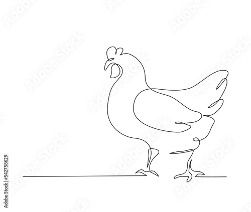 Continuous one line drawing of hen chicken. Abstract female chicken simple line art vector design.