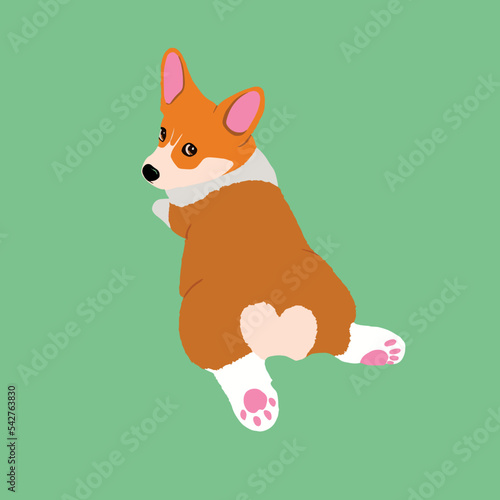 Lying corgi puppy isolated vector illustration. Cute corgi dog looking back with heart butt.