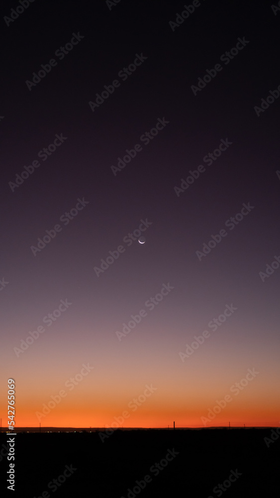 small moon at sunset ,vertical