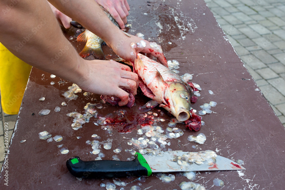 People clean fish from scales with fish scaler and knife.	 Cleaning and preparing fish.