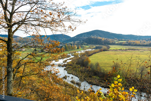Fototapeta Naklejka Na Ścianę i Meble -  The Bieszczady hills covered with golden and orange colors.