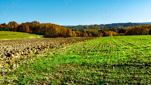 Fototapeta Naklejka Na Ścianę i Meble -  The Bieszczady hills covered with golden and orange colors.