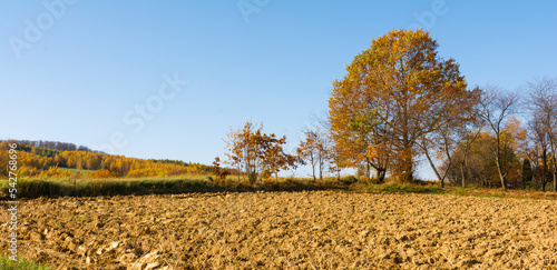Fototapeta Naklejka Na Ścianę i Meble -  The Bieszczady hills covered with golden and orange colors.