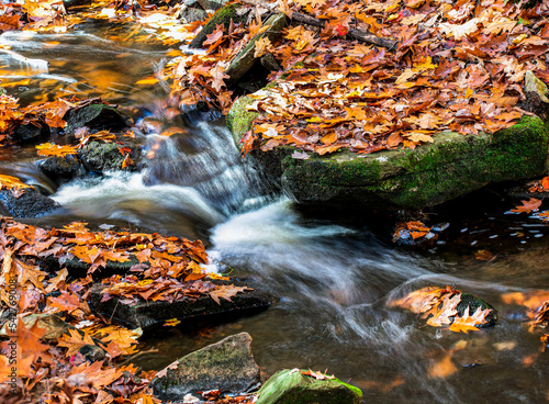 water cascading in a brookat wendell state forest