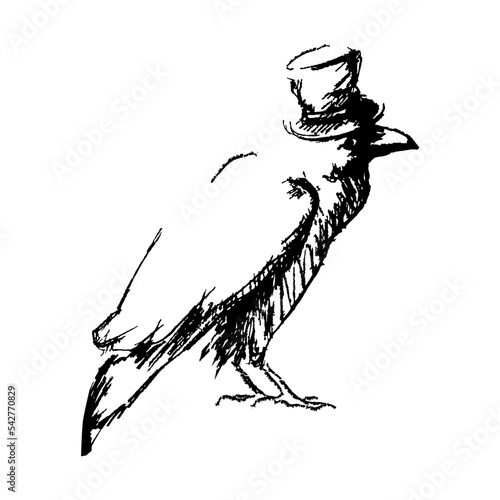 Cartoon sketch of a funny black raven gentleman in a top hat