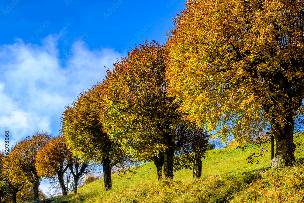 old alley at a hill