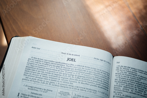 Εκτύπωση καμβά Libro de Joel en la biblia