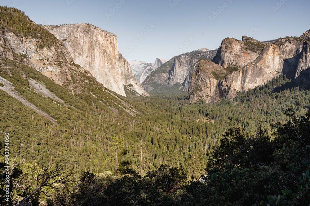Yosemite Valley scenic view 