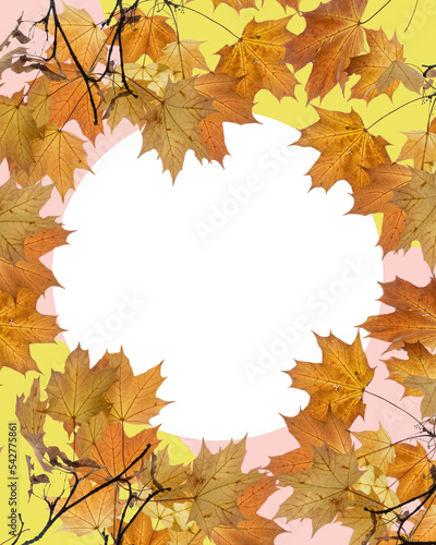 beautiful template with autumn leaves 3d illustration 