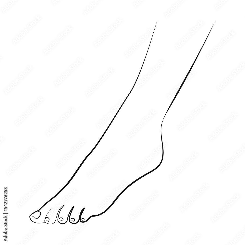 Leg, line art, one line drawing. Stylish illustration Leg, line art, one line drawing. Stylish illustration