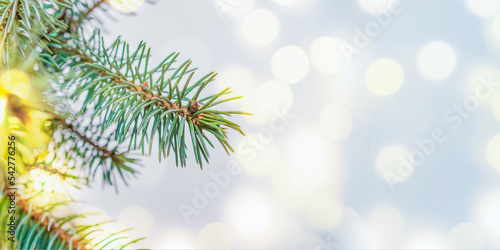 Green fir tree branches with festive bokeh on a light background. Wide horizontal banner with copyspace. Winter and christmas concept