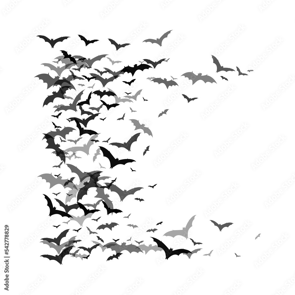 Fototapeta premium Bat PNG Format With Transparent Background