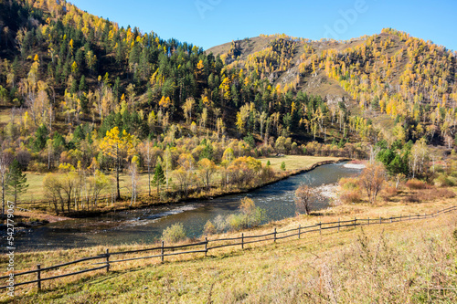 View of river in Altay mountains in the autumn
