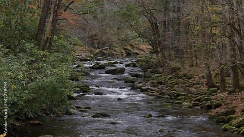 Autumn cascades in the Middle prong of the Little Pigeon River in Great Smoky Mountains, TN, USA (4K/24p, ProRes HQ, 10-bit)