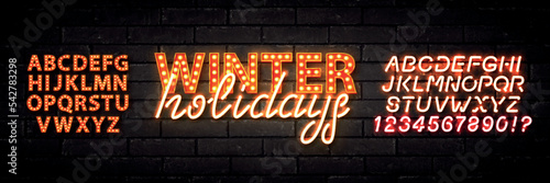 Vector realistic isolated neon marquee text of Winter Holidays logo with easy to change color alphabet font on the wall background.