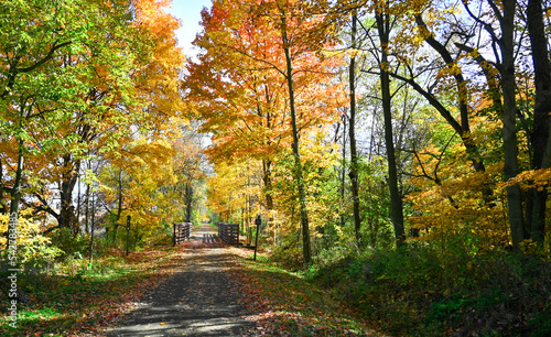 Beautiful autumn landscape, with colorful leaves at Dalton Park, Ohio © Carlos