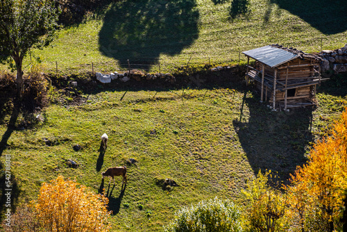 Autumn view in Savsat. Artvin, Turkey. Beautiful autumn landscape with wooden house. Colorful fall nature view.. photo