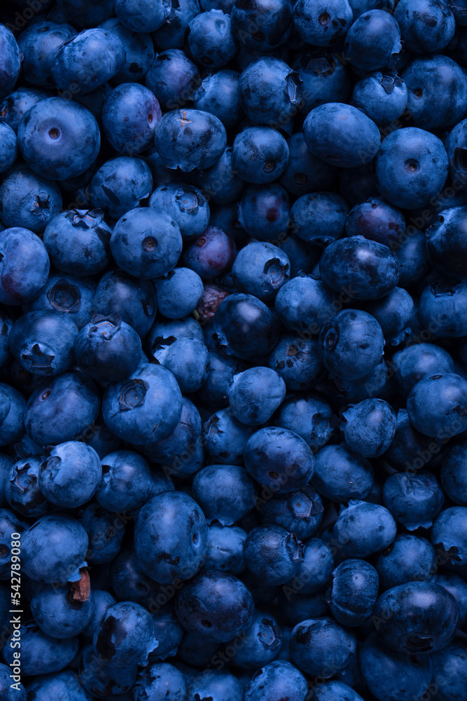 Fresh blueberry background. Texture blueberry berries close up. Fresh blueberry background. Texture blueberry berries close up.