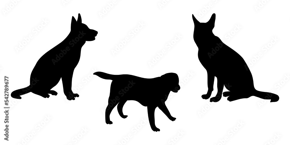 Silhouettes of dogs in different poses, set silhouettes of animals