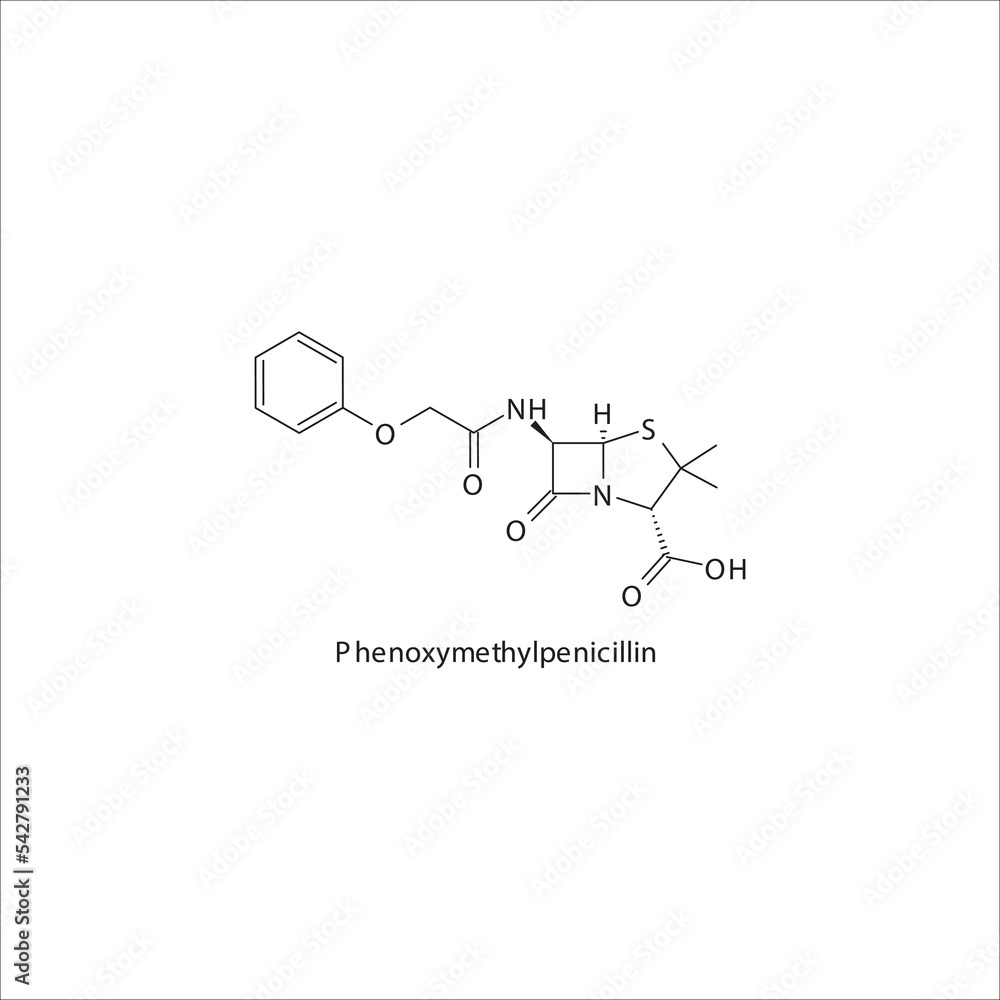 Naklejka premium Phenoxymethylpenicillin flat skeletal molecular structure Penicillin&nbsp; drug used in bacterial infection treatment. Vector illustration.
