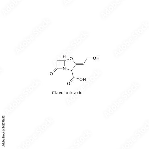 Clavulanic acid flat skeletal molecular structure β-lactamase inhibitor drug used in bacterial infection treatment. Vector illustration. photo