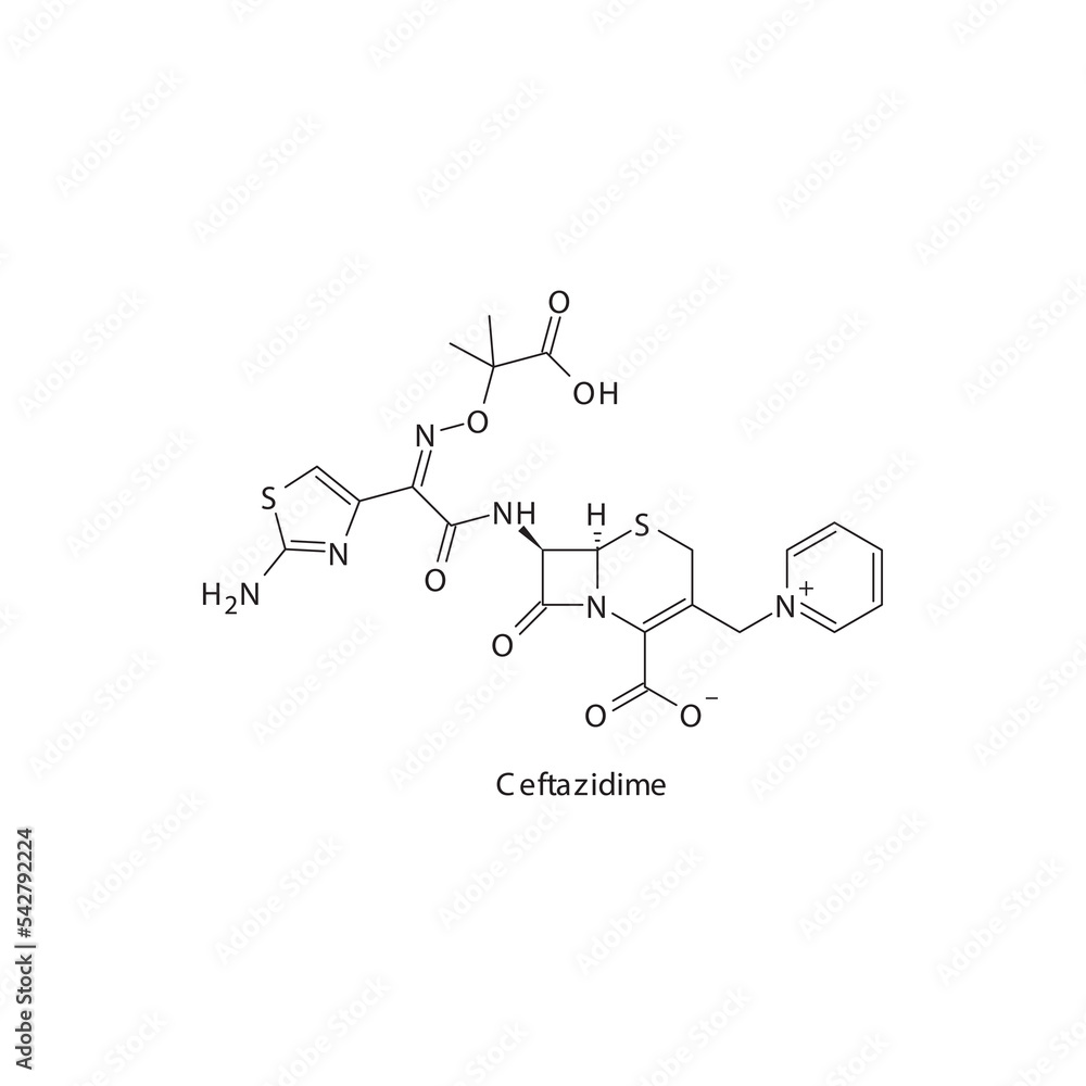 Ceftazidime flat skeletal molecular structure 3rd generation Cephalosporin drug used in bacterial infection treatment. Vector illustration.