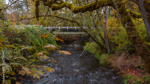 Canvas Print Fall Colors Beyond Larwood Covered Bridge in Linn County, Oregon