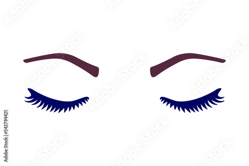 Lashes and brows or eyelashes and eyebrows in vector icon