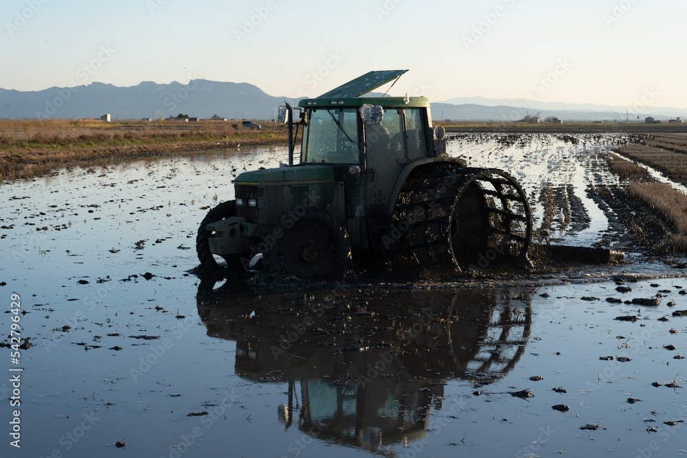 Fototapeta premium Tractor in a flooded rice field preparing soil for the harvest in the natural park of Albufera, Valencia, Spain