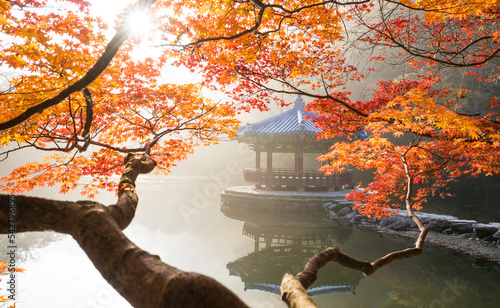 정ㅇ읍 내장산 국립공원 우화정의 가을 날 아침 풍경