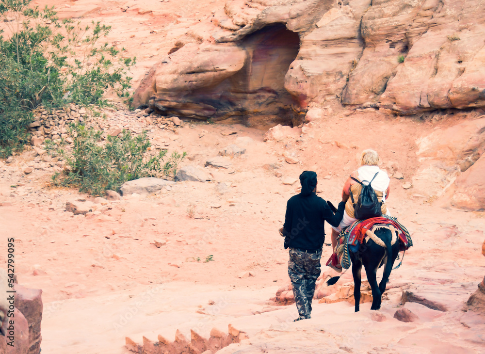 Petra, Jordan - 7th october, 2022: bedouin master with donkey take overweight Petra female visitor client down stairs from little Petra - monastery uphill