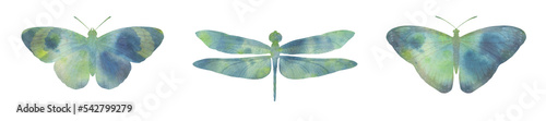 set of watercolor butterflies and dragonfly. collection of butterflies for design © Sergei