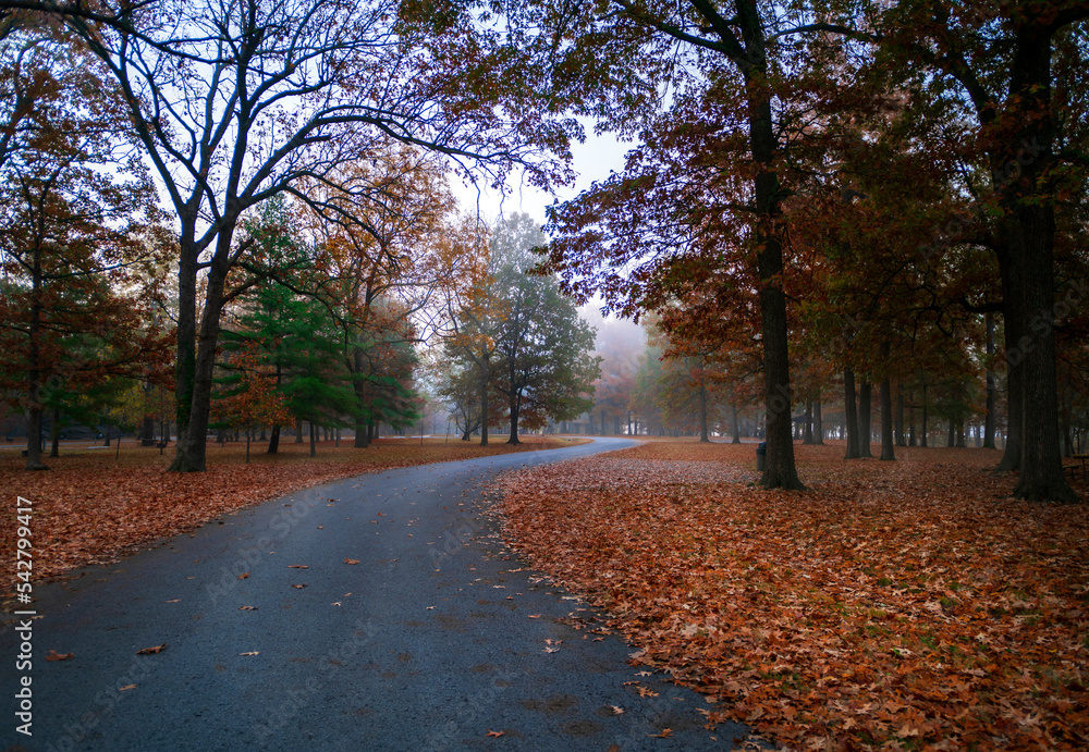 Naklejka premium Autumn in the Park