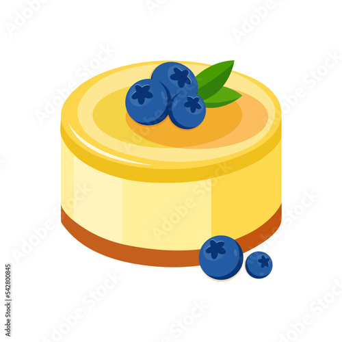 Lemon mousse blueberry piece of cake with vector